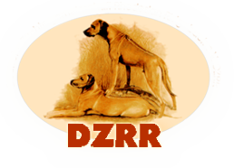 DZRR